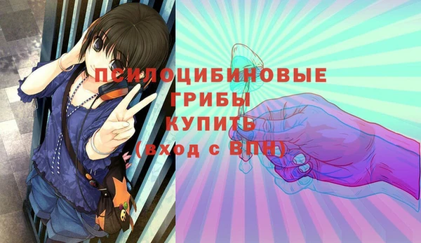 PSILOCYBIN Яранск