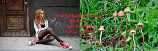 мдпв Беломорск