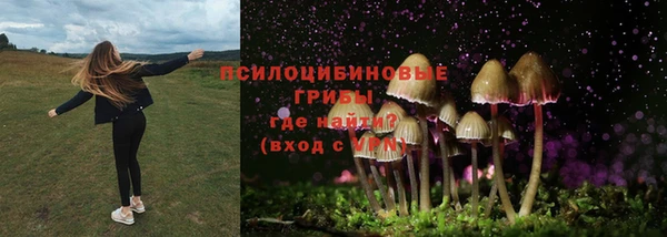 кокаин Белокуриха
