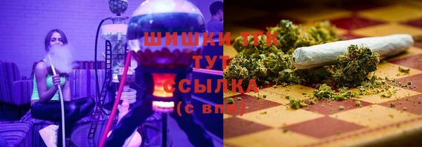 гидра Армянск