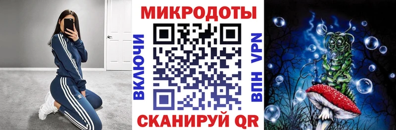 купить наркотики цена  Черемхово  Галлюциногенные грибы Magic Shrooms 